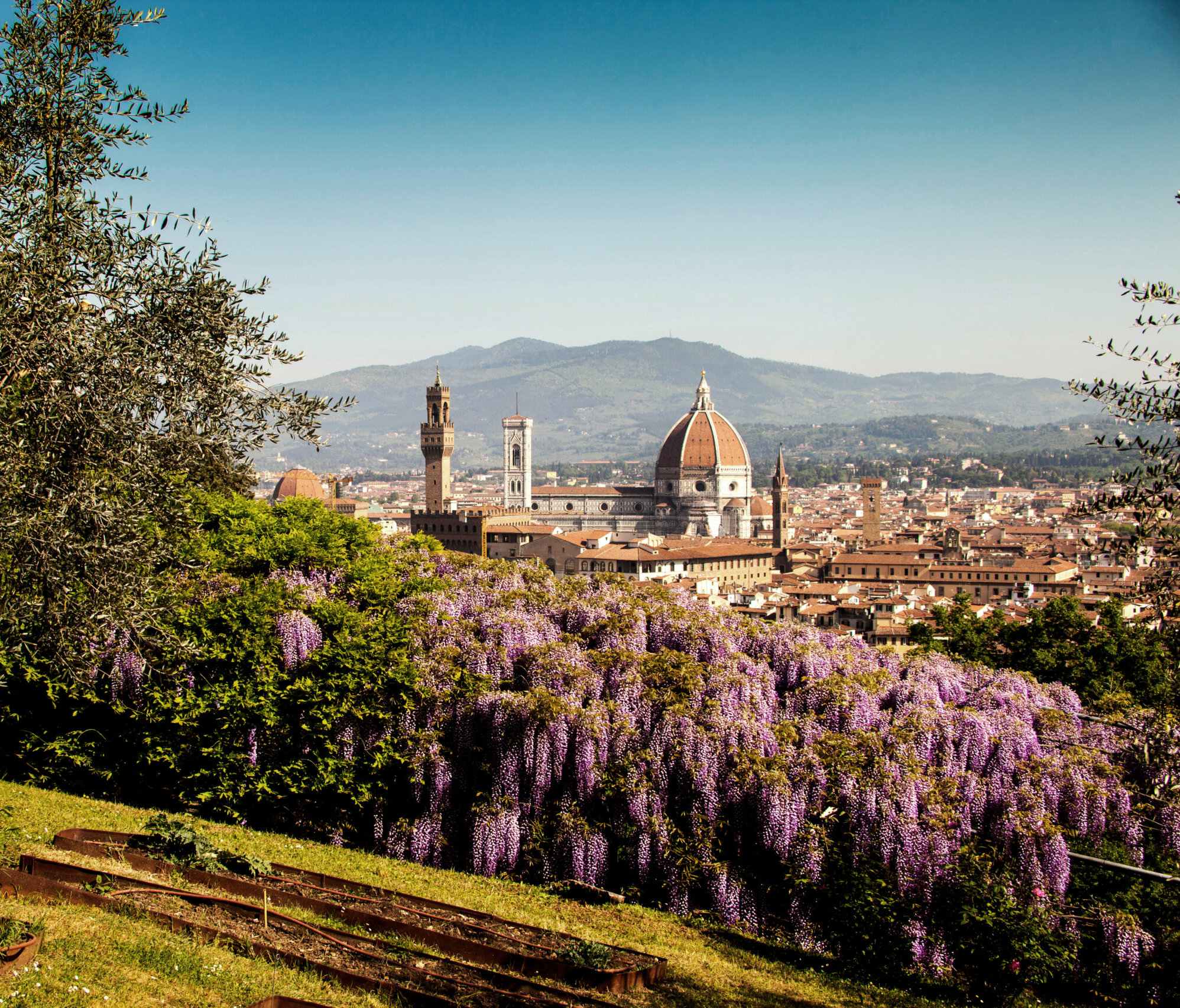 Firenze
